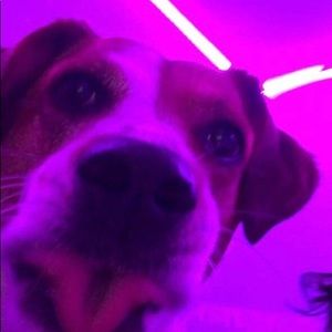 Meet your Posher, Markus